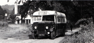Could this have been the actual bus on which Auntie Flo made one of her Sunday visit, as described in the accompanying text? Searched out by correspondent Peter Johansson, of Dewsbury, West Yorkshire, the picture shows a Maidstone District 1938 Leyland TS8, with Harrington 34-seat bodywork. Commandeered by the war authorities, it was returned to the company after the war, refurbished and put back in service. It is seen as Friar’s Gate circa 1954.