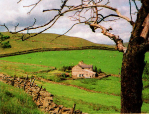 Gale Garth on the way to Bull Pot.