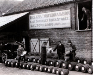 Coopering was a specialist profession and wet coopers made barrels for liquids – including these variously sized cider barrels. Lionel Hunt is wearing his long cooper’s apron at the right of this seemingly heavily posed picture. He was a wet cooper at Baltonsborough from the age of 24.