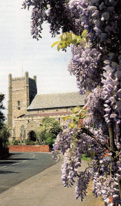 Wisteria cloaks a cottage in front of the parish church at delightful Orford in Suffolk where the author enjoyed his war-time summers as a boy.