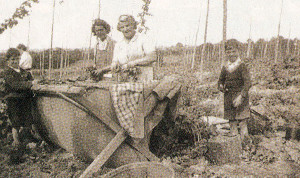 Charlie Piggott’s mum is seen on the right, hop-picking in 1945 with Mrs. Dixon and her two boys. Note the billy can on the right