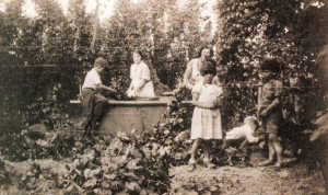 This 1936 photograph shows two families picking in a half end bin. Evelyn Turk, seen with her brother Bob on the left, is the Mrs. Dixon in the next photograph.