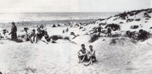 The sandhills and beach at Ainsdale, where natterjack toads and sand lizards abounded in the 1950s.