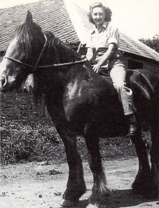 When she went to Herefordshire from London during the Second World War Dorothy didn’t even know what nettles were — but she soon showed her new countryside friends what she was made of when she learned to ride this working horse called Beauty.